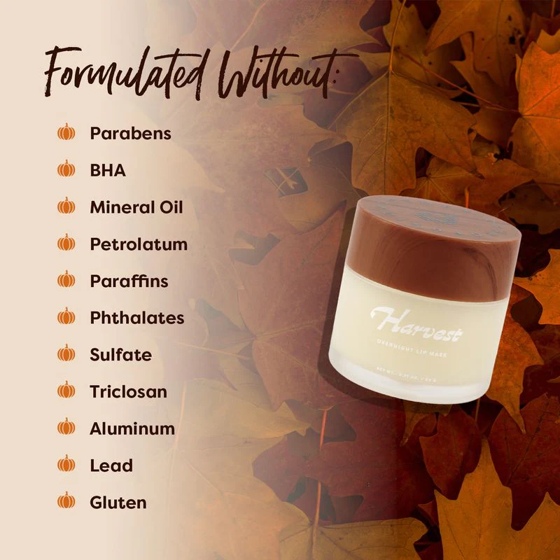 Pumpkin Spice | Harvest Overnight Lip Mask - Image 3